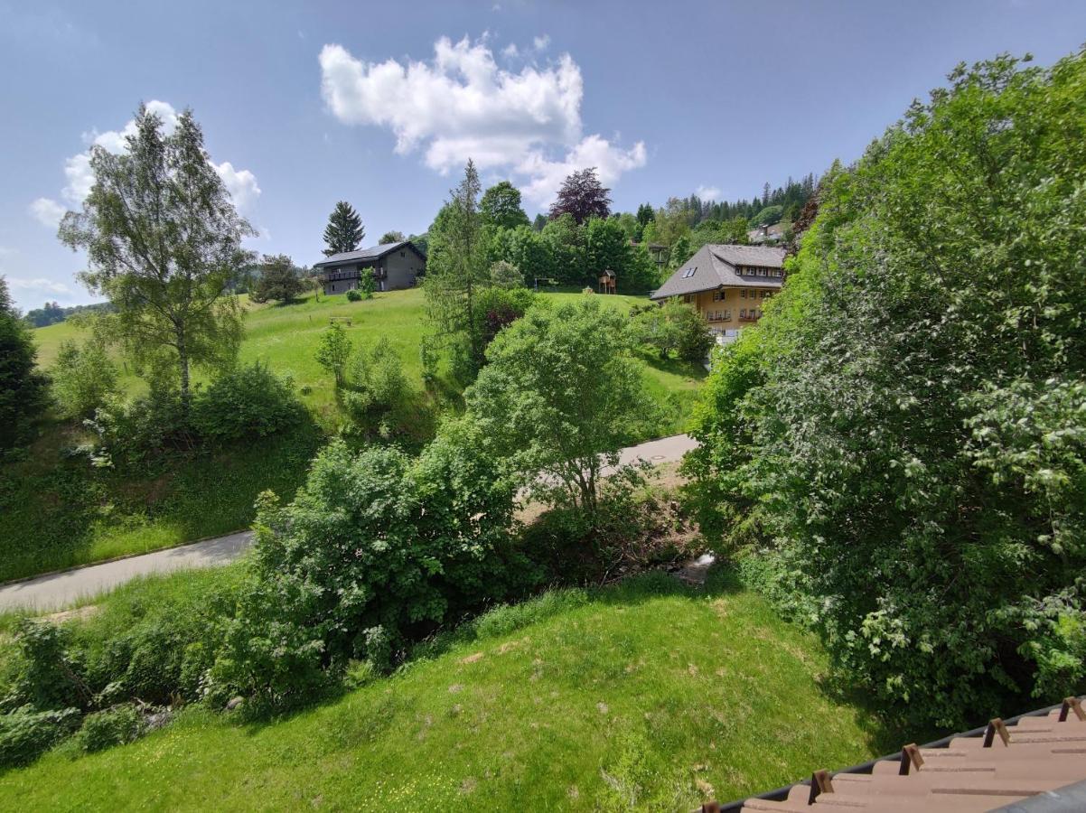 Black Forest Living - Todtnauberg Daire Dış mekan fotoğraf