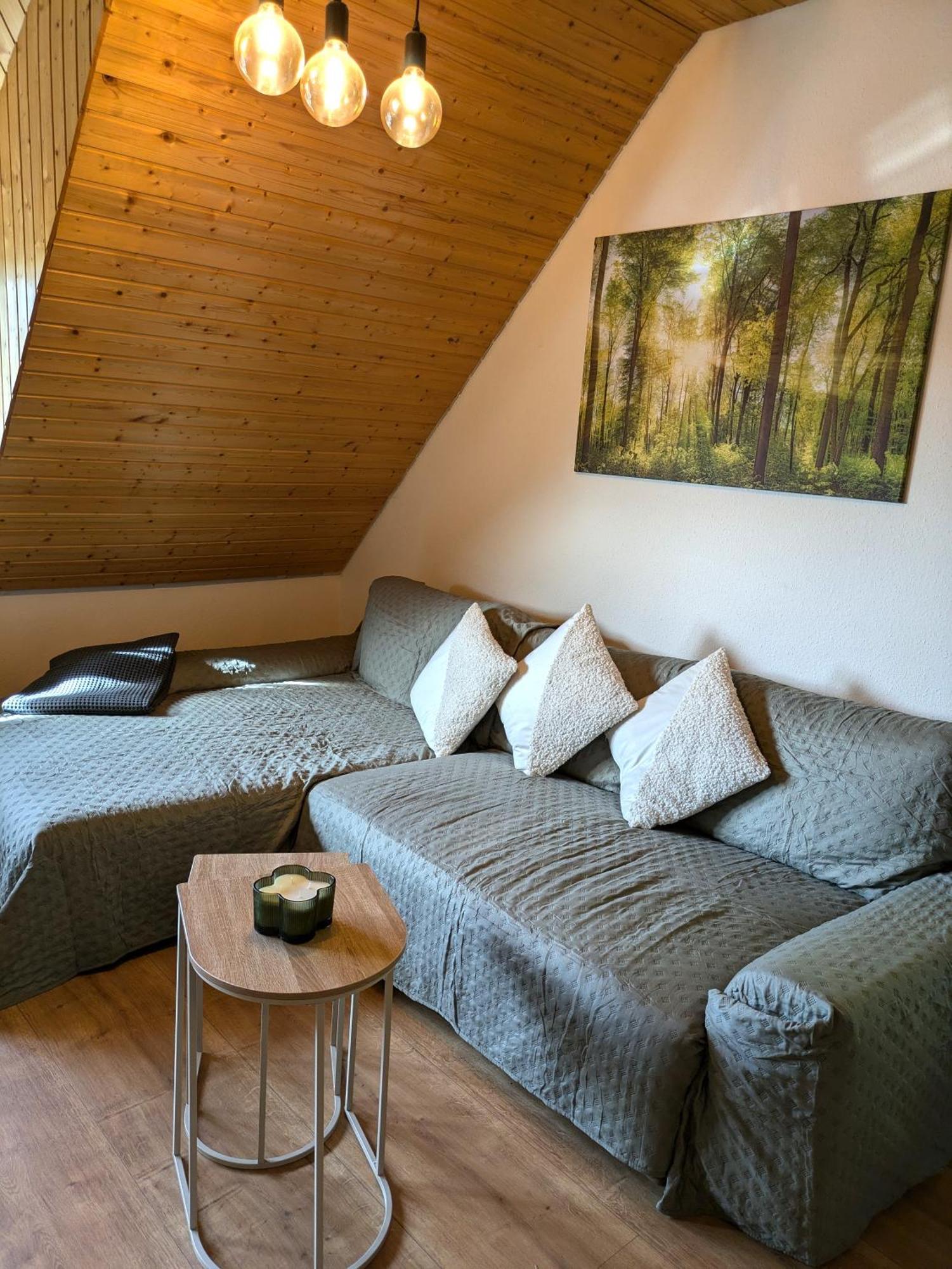 Black Forest Living - Todtnauberg Daire Dış mekan fotoğraf