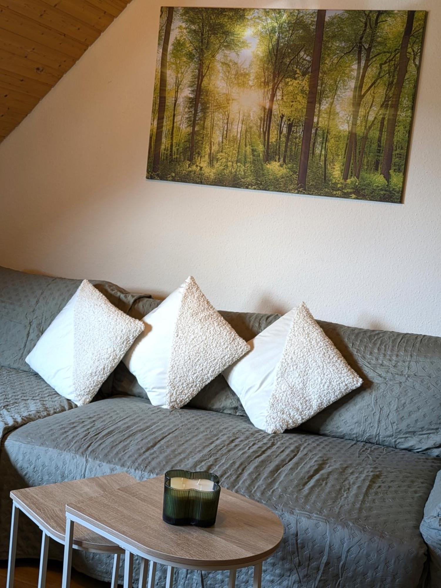 Black Forest Living - Todtnauberg Daire Dış mekan fotoğraf